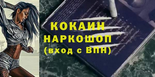 spice Володарск
