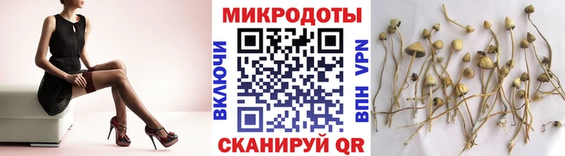 Купить где  Жигулёвск  Галлюциногенные грибы Magic Shrooms 